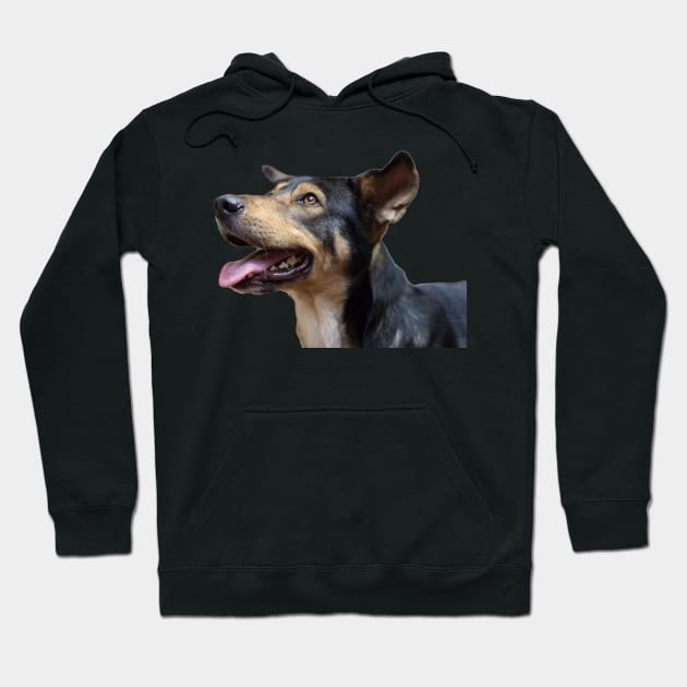 i love dog Hoodie by rickylabellevie